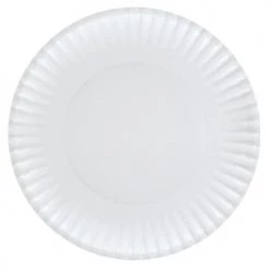 King Zak 9" Paper Plate Everyday Disposable Plates