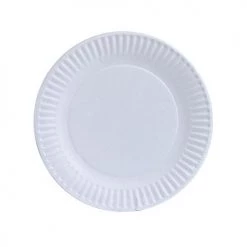 King Zak Premium Paper PlateSize Options: 9inch Plate And 6inch Plate Everyday Disposable Plates