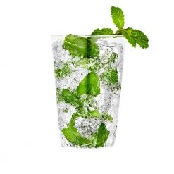 King Zak Premium Heavy Weight Plastic 10oz Sq Bottom Tumbler