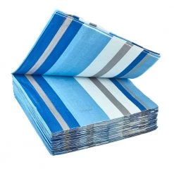 King Zak Tabletop Premium Extra Heavy Weight Paper Stripe Dinnerware