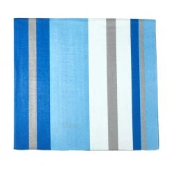 King Zak Tabletop Premium Extra Heavy Weight Paper Stripe Dinnerware