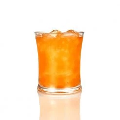 King Zak Disposable Dinnerware Cups Premium Extra Heavy Weight Plastic 10oz Tumbler