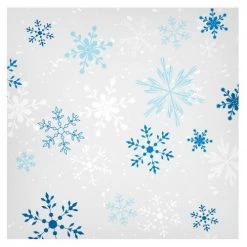 King Zak Premium Paper Snowflake DinnerwareSize Options: 10inch Plate, 8.75inch Plate, 7inch Plate, 20oz Bowl And 12oz Cup Tabletop